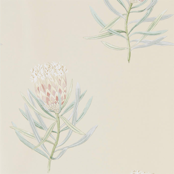 Sanderson Protea Flower Russet/Green 216329 Wallpaper DART216329