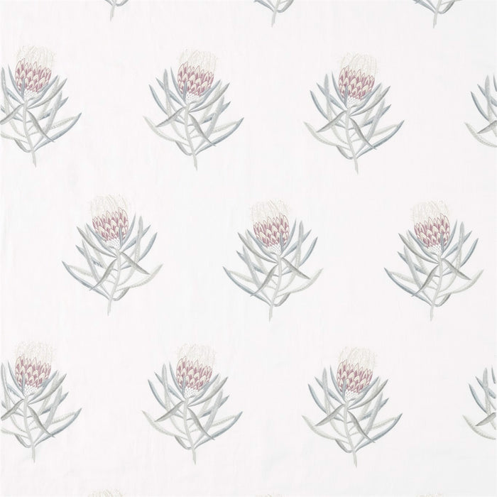 Sanderson Protea Flower Porcelain/Orchid 236352 Fabric DART236352