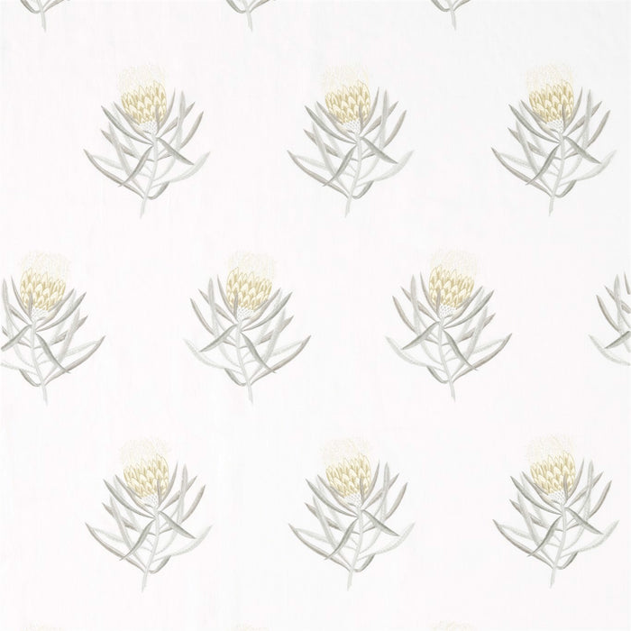 Sanderson Protea Flower Daffodil/Natural 236355 Fabric DART236355