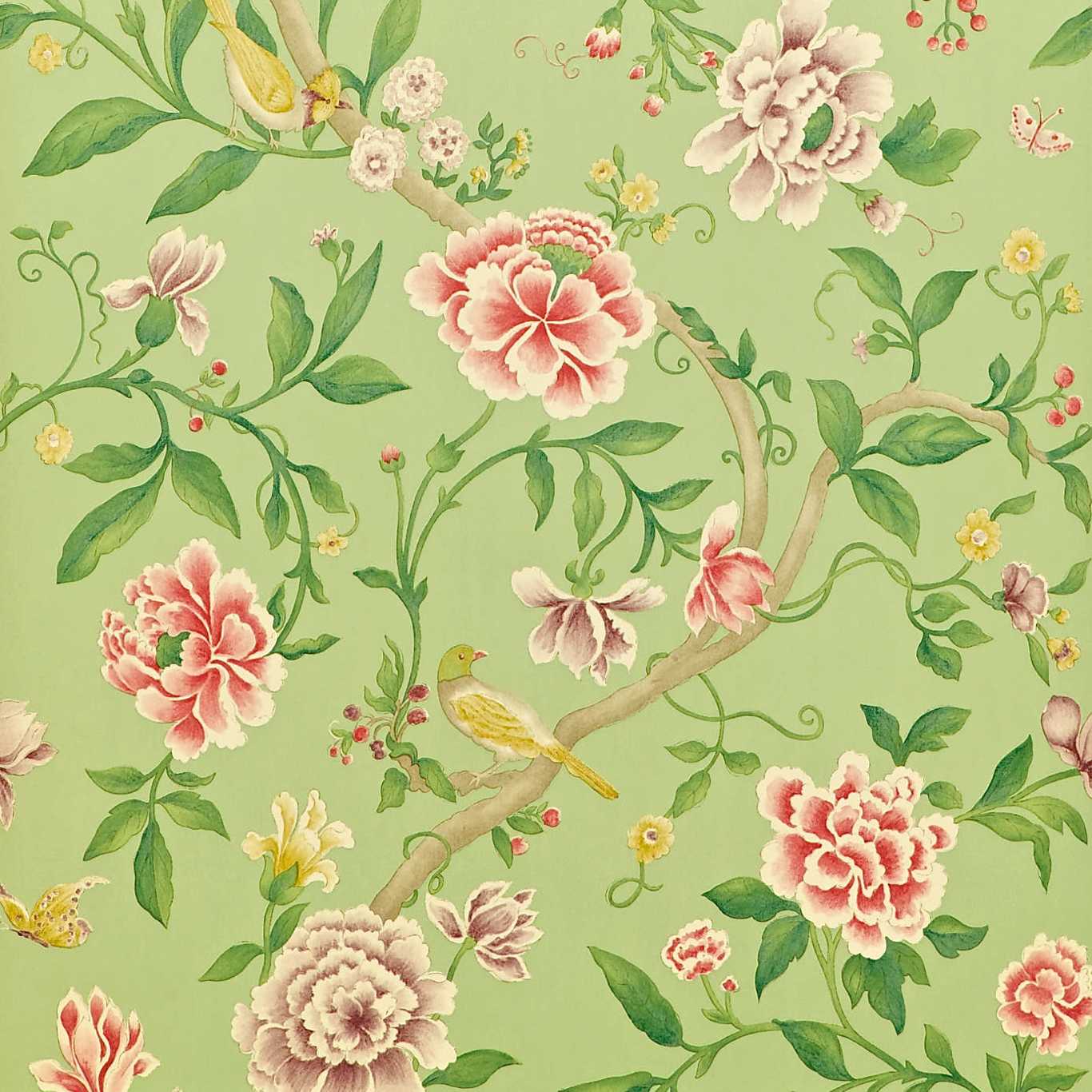 Sanderson Porcelain Garden Rose/ Fennel PO101 Wallpaper DCAVPO101