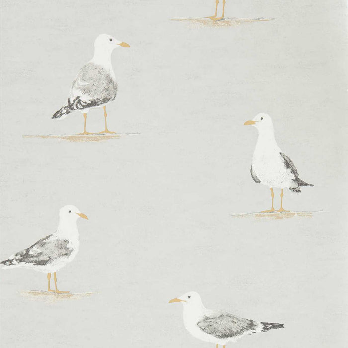 Sanderson Shore Birds Gull 216565 Wallpaper DCOA216565