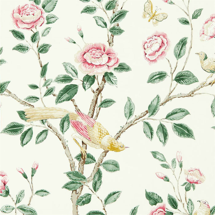 Sanderson Andhara Rose/Cream 216795 Wallpaper DCPW216795