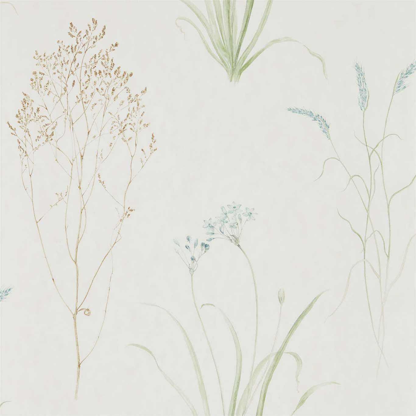 Sanderson Farne Grasses Cream/Sage 216486 Wallpaper DEBB216486