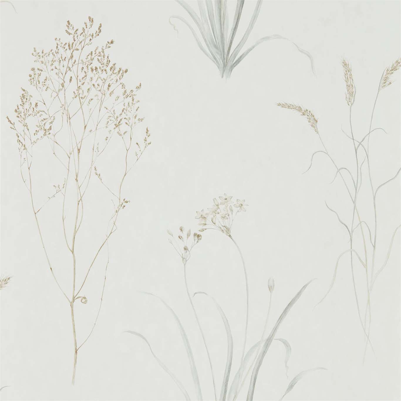 Sanderson Farne Grasses Silver/Ivory 216487 Wallpaper DEBB216487