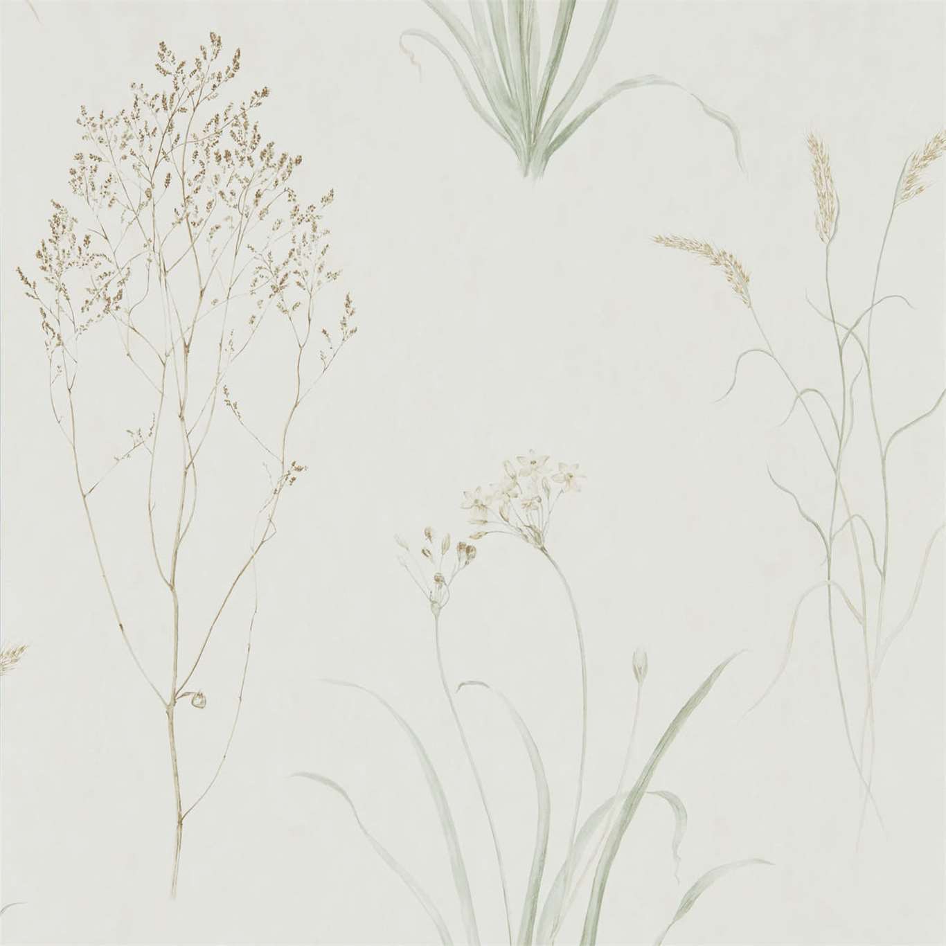 Sanderson Farne Grasses Willow/Pebble 216488 Wallpaper DEBB216488