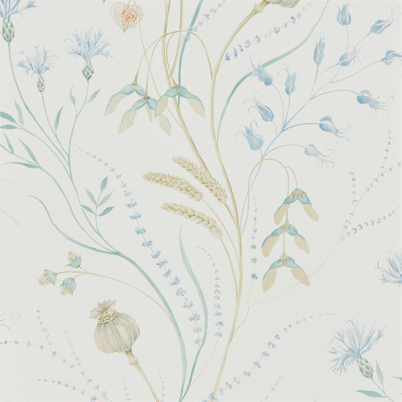 Sanderson Summer Harvest Cornflower/Wheat 216496 Wallpaper DEBB216496