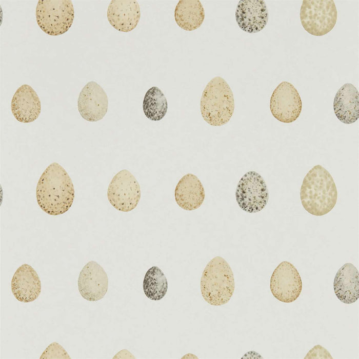 Sanderson Nest Egg Corn Graphite 216505 Wallpaper DEBB216505