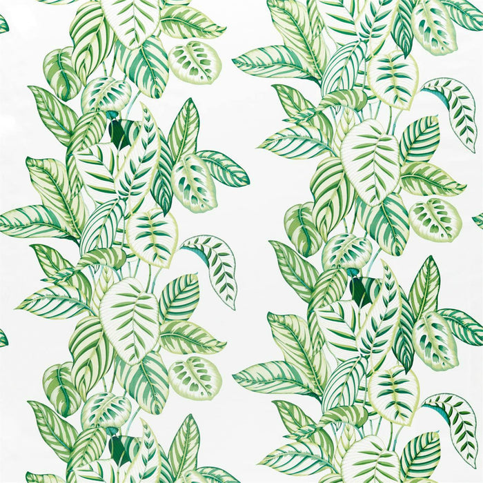 Sanderson Calathea Botanical Green 226575 Fabric DGLA226575