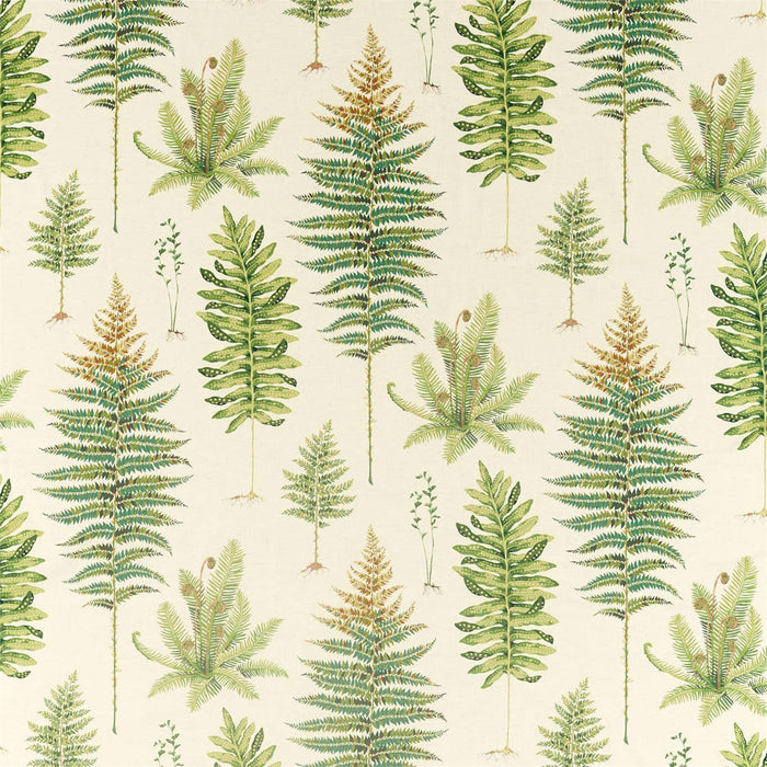 Sanderson Fernery Olive 226578 Fabric DGLA226578