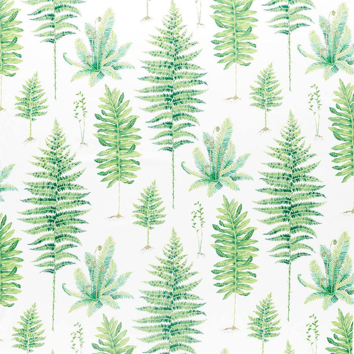 Sanderson Fernery Botanical Green 226579 Fabric DGLA226579