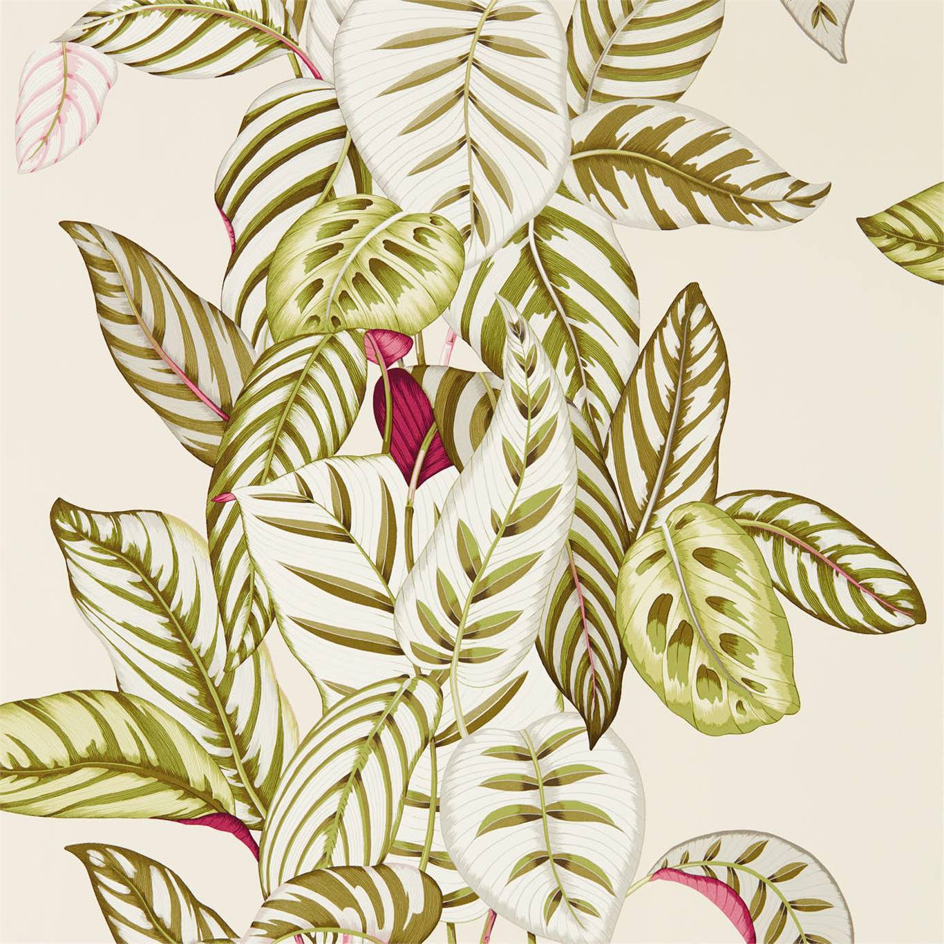 Sanderson Calathea Olive 216631 Wallpaper DGLW216631