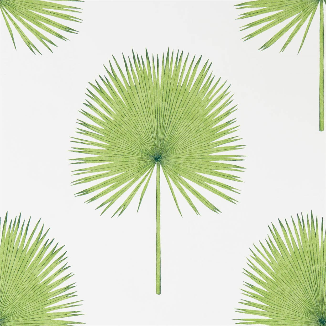 Sanderson Fan Palm Botanical Green 216636 Wallpaper DGLW216636