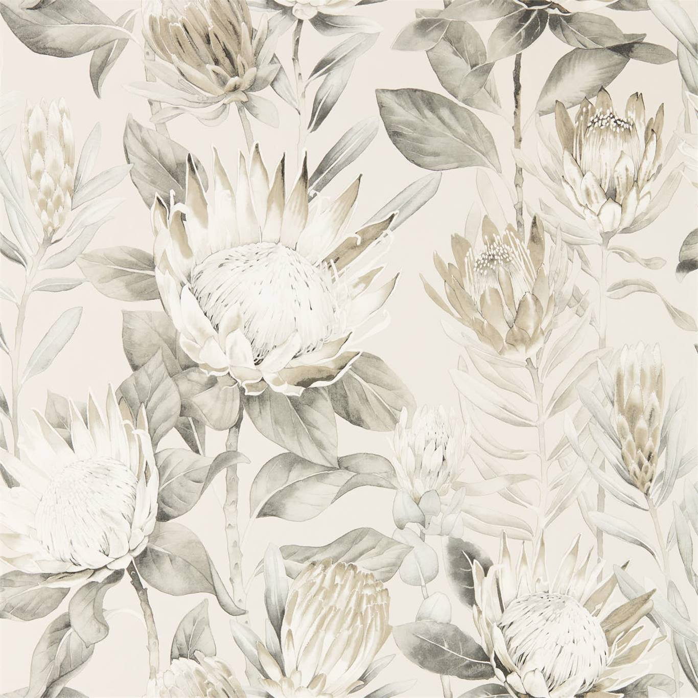 Sanderson King Protea Linen/Mica 216647 Wallpaper DGLW216647