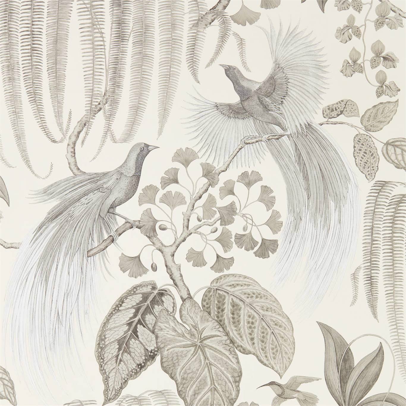 Sanderson Bird of Paradise Linen 216652 Wallpaper DGLW216652