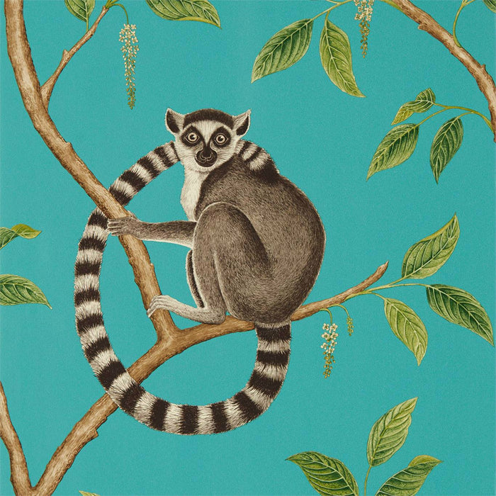 Sanderson Ringtailed Lemur Teal 216663 Wallpaper DGLW216663