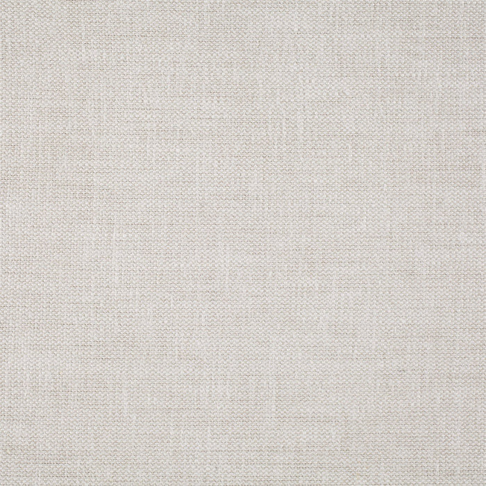 Sanderson Helena Birch 236137 Fabric DHLE236137