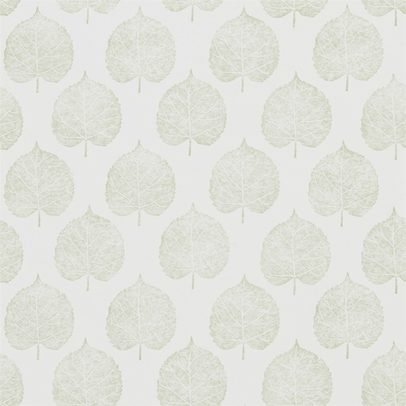 Sanderson Lyme Leaf Celadon 216383 Wallpaper DHPO216383