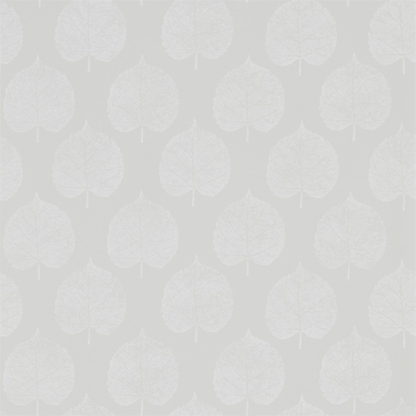 Sanderson Lyme Leaf Dove 216384 Wallpaper DHPO216384