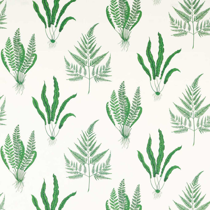 Sanderson Woodland Ferns Botanical Green 226927 Fabric DLUM226927