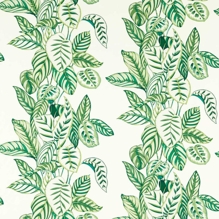 Sanderson Calathea Botanical Green 226943 Fabric DLUM226943