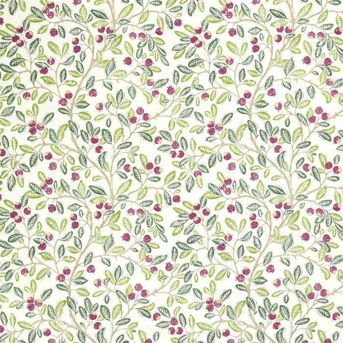 Sanderson Wild Berries Fern/Mulberry 226743 Fabric DNTF226743