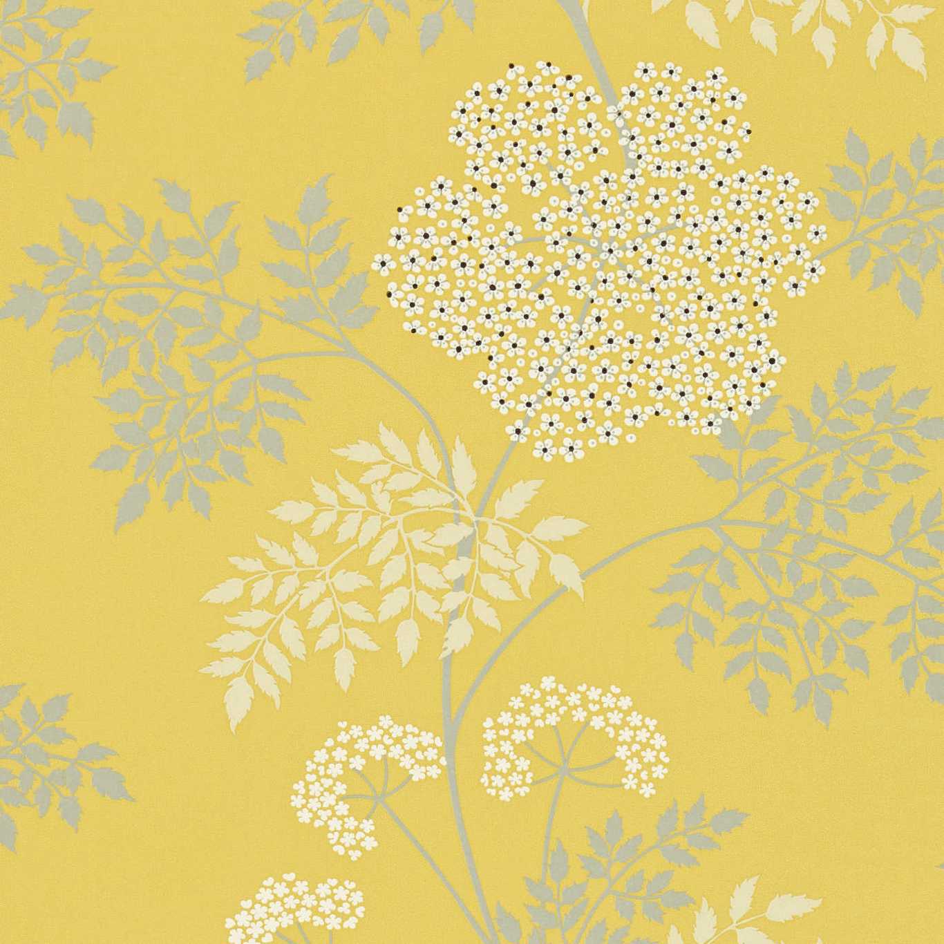 Sanderson Cowparsley Chinese Yello CO105 Wallpaper DOPWCO105