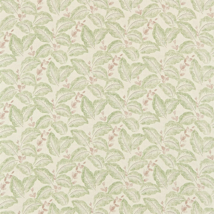 Sanderson Box Hill Moss/ Cream 222090 Fabric DRCH222090