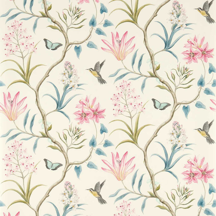 Sanderson Clementine Dusky Pink 213386 Wallpaper DVOY213386