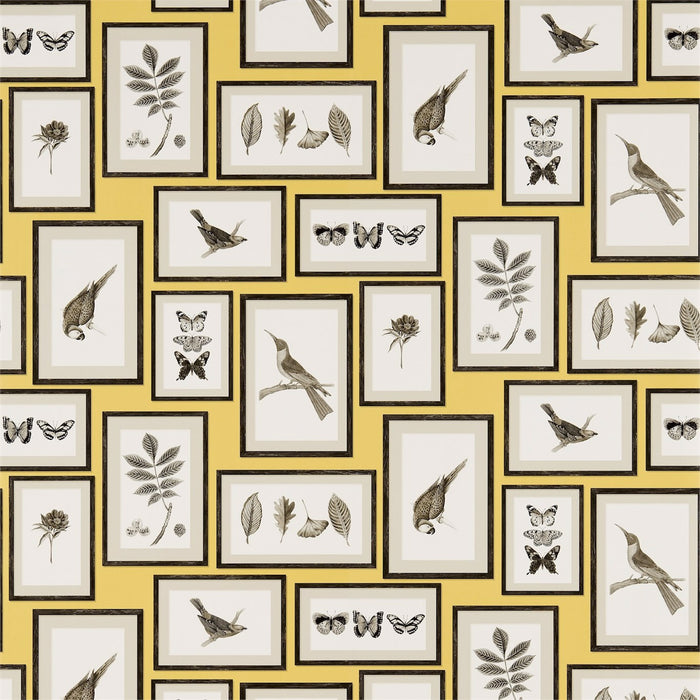 Sanderson Picture Gallery Yellow/Charcoal 213396 Wallpaper DVOY213396