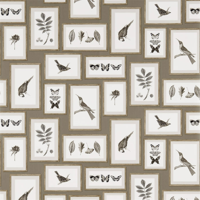 Sanderson Picture Gallery Taupe/Sepia 213397 Wallpaper DVOY213397