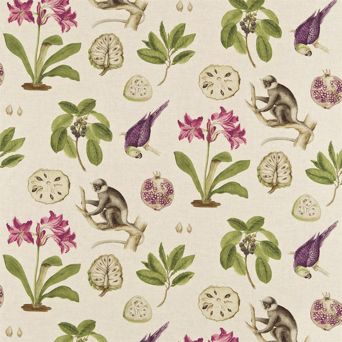 Sanderson Capuchins Boysenberry 223274 Fabric DVOY223274