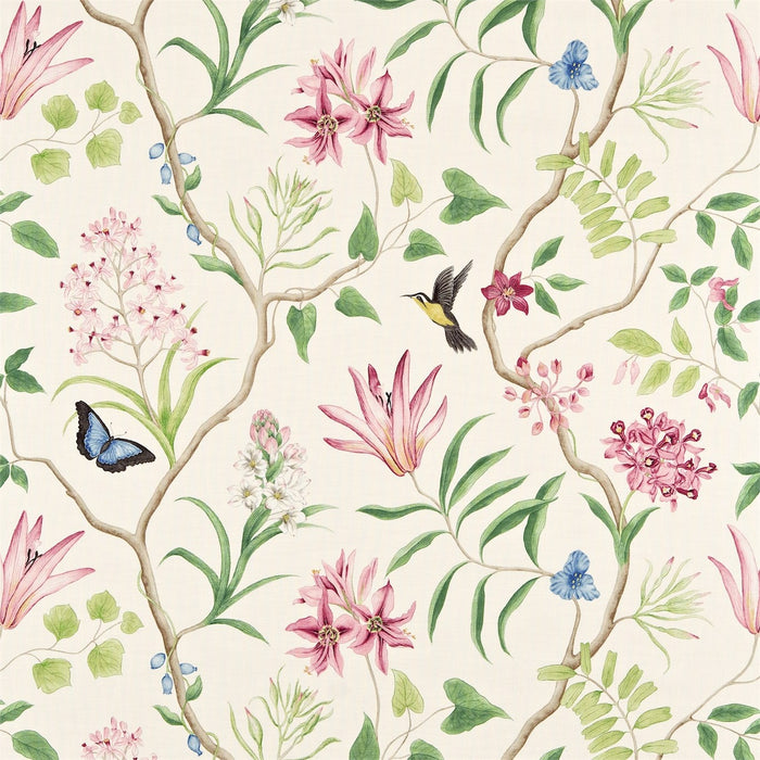 Sanderson Clementine Chintz 223298 Fabric DVOY223298