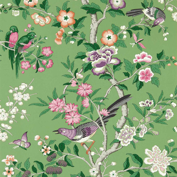 Sanderson Chinoiserie Hall Chinese Green/Lotus Pink 217110 Wallpaper DWAW217110