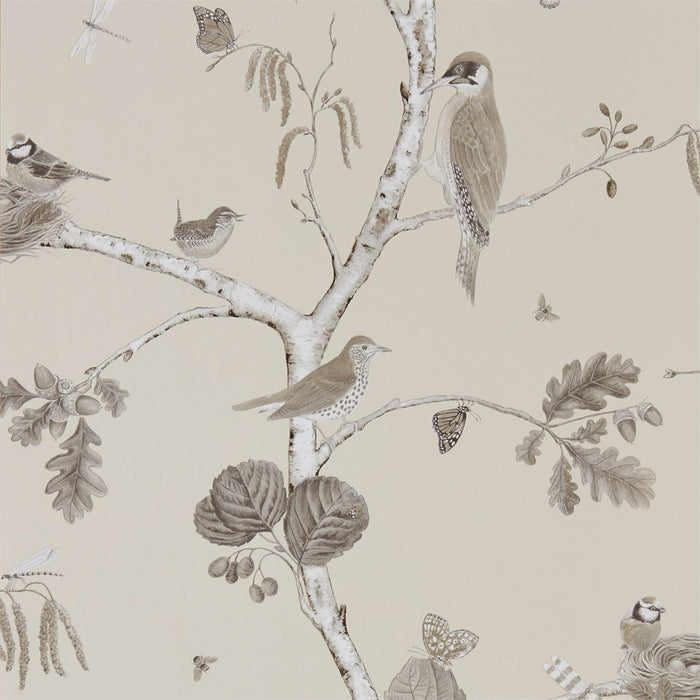 Sanderson Woodland Chorus Sepia/Neutral 215704 Wallpaper DWOW215704