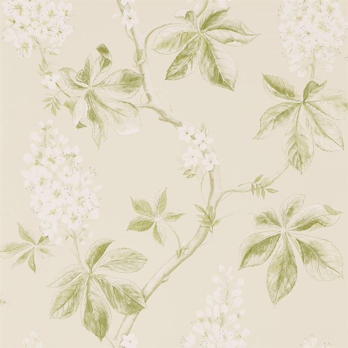 Sanderson Chestnut Tree Lemon/Lettuce 215707 Wallpaper DWOW215707