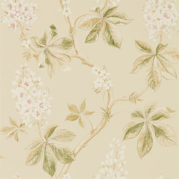 Sanderson Chestnut Tree Coral/Bayleaf 215709 Wallpaper DWOW215709