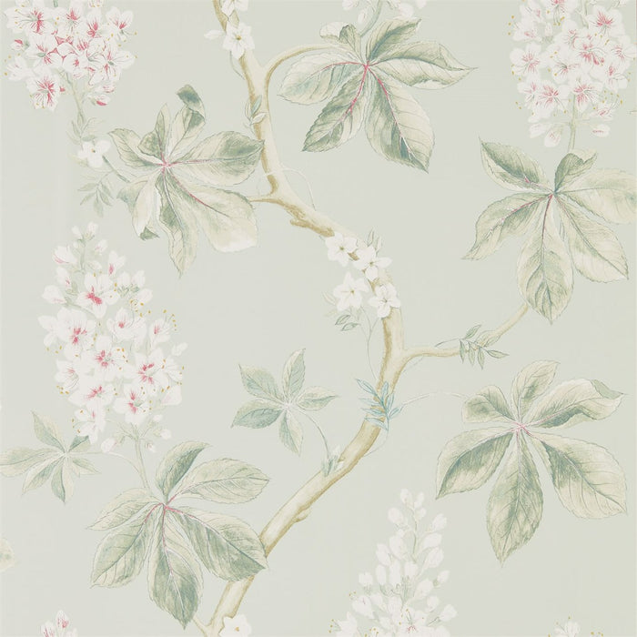 Sanderson Chestnut Tree Seaspray/Peony 215710 Wallpaper DWOW215710