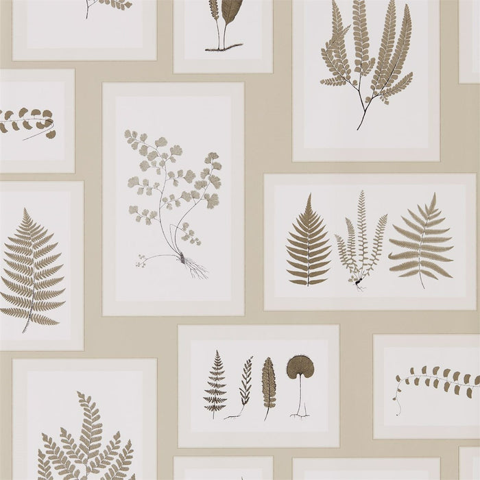 Sanderson Fern Gallery Linen/Sepia 215714 Wallpaper DWOW215714