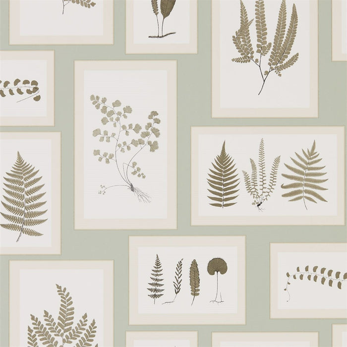 Sanderson Fern Gallery Blue/Sepia 215715 Wallpaper DWOW215715