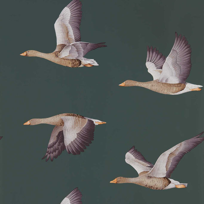 Sanderson Elysian Geese Amsterdam Green 216608 Wallpaper DYSI216608