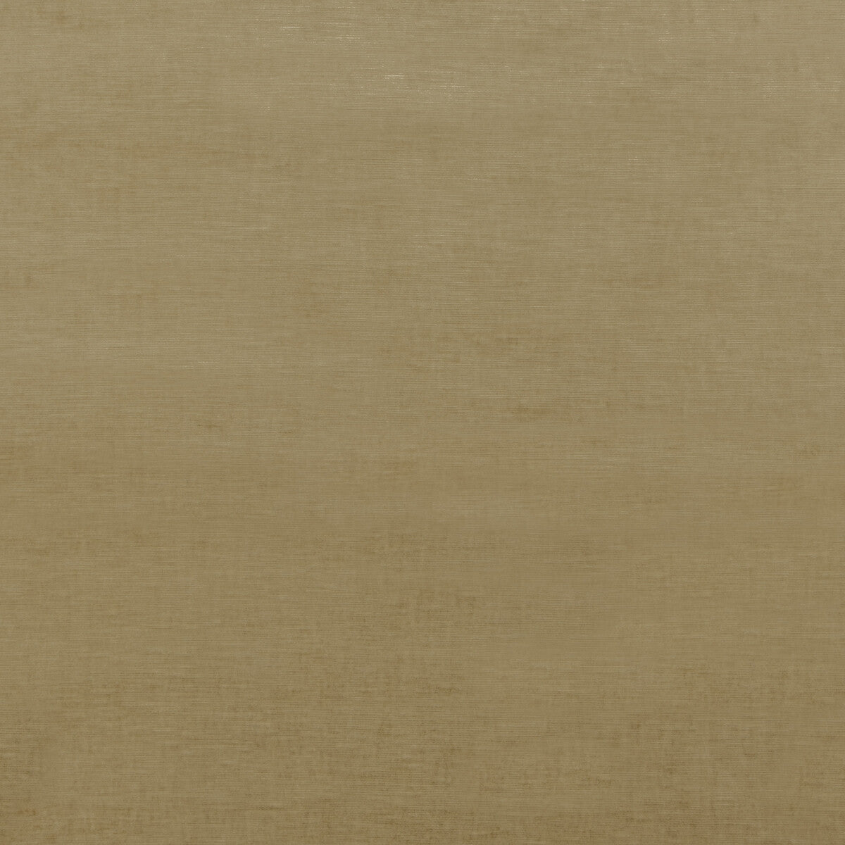 Threads Meridian Velvet Camel Fabric ED85292.170.0