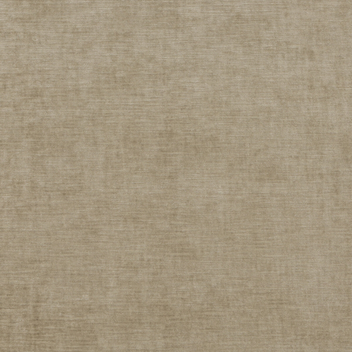 Threads Meridian Velvet Oatmeal Fabric ED85292.230.0