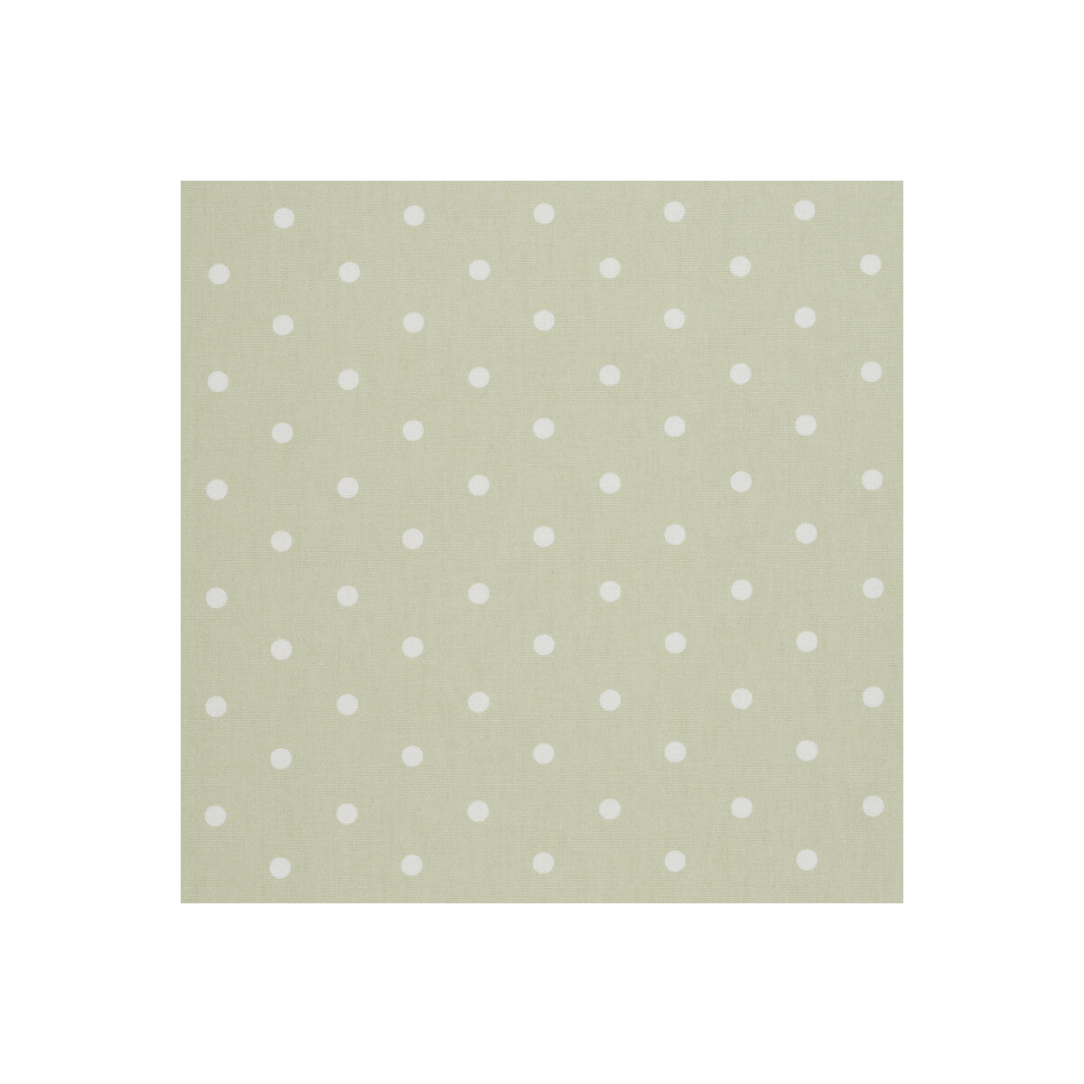 Clarke & Clarke Dotty Sage Fabric F0063/10.CAC.0