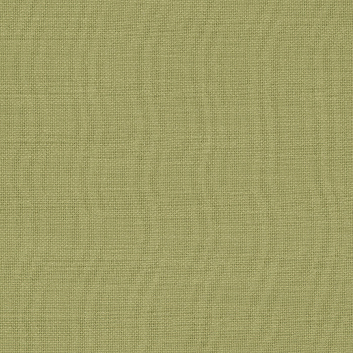 Clarke & Clarke Nantucket Willow Fabric F0594/56.CAC.0