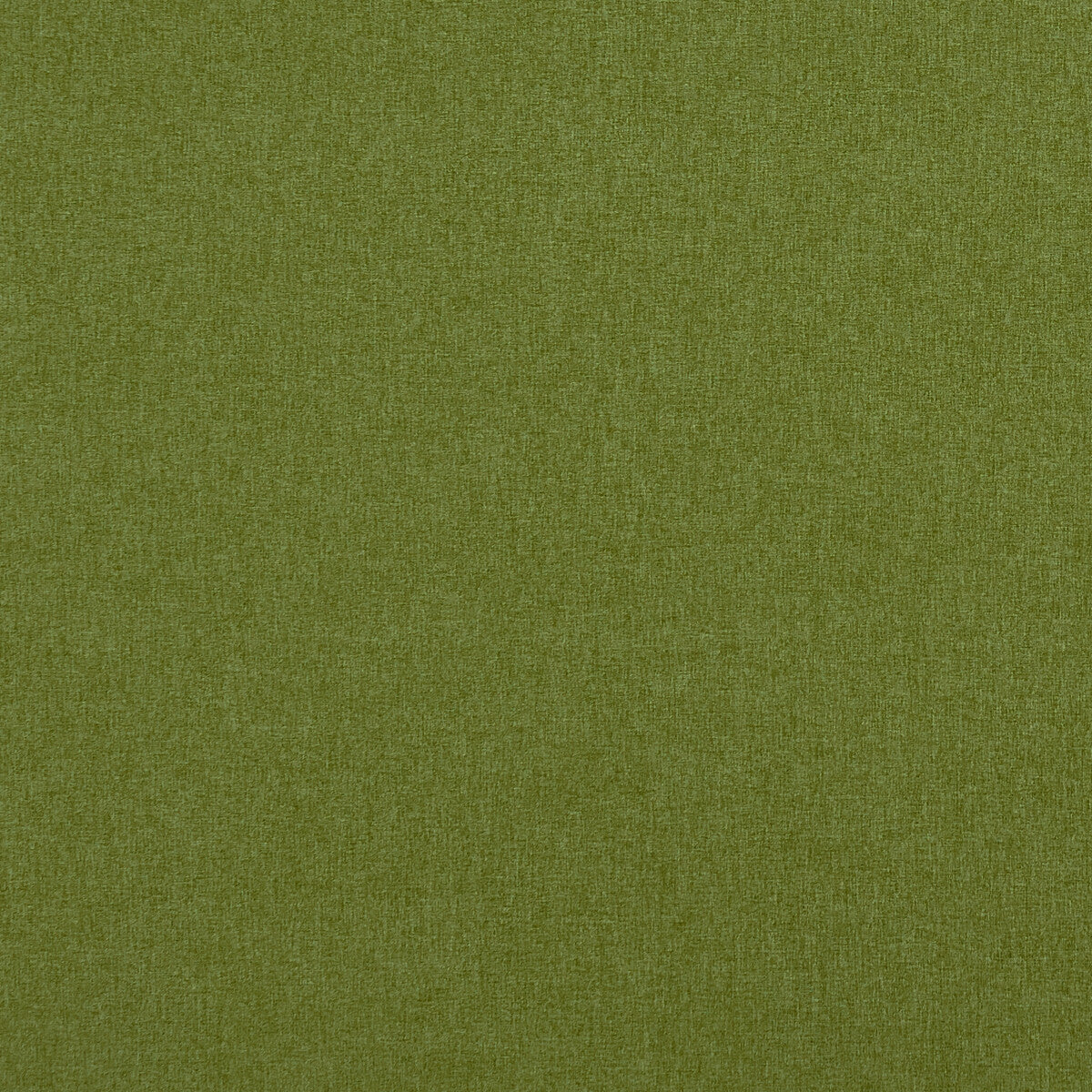 Clarke & Clarke Highlander Amazon Fabric F0848/30.CAC.0