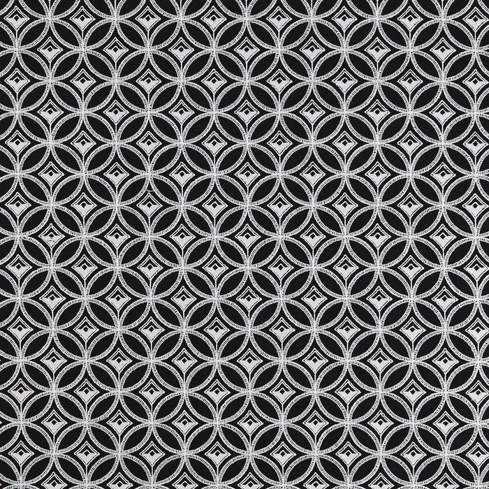 Clarke & Clarke Bw1009 Black/White Fabric F0881/01.CAC.0