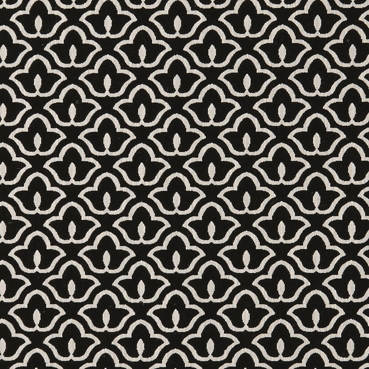 Clarke & Clarke Bw1014 Black/White Fabric F0887/01.CAC.0