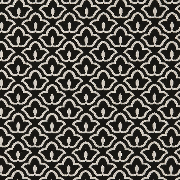 Clarke & Clarke Bw1014 Black/White Fabric F0887/01.CAC.0