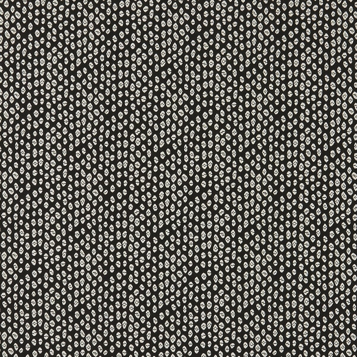 Clarke & Clarke Bw1015 Black/White Fabric F0888/01.CAC.0