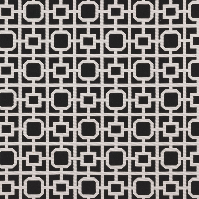 Clarke & Clarke Bw1017 Black/White Fabric F0890/01.CAC.0